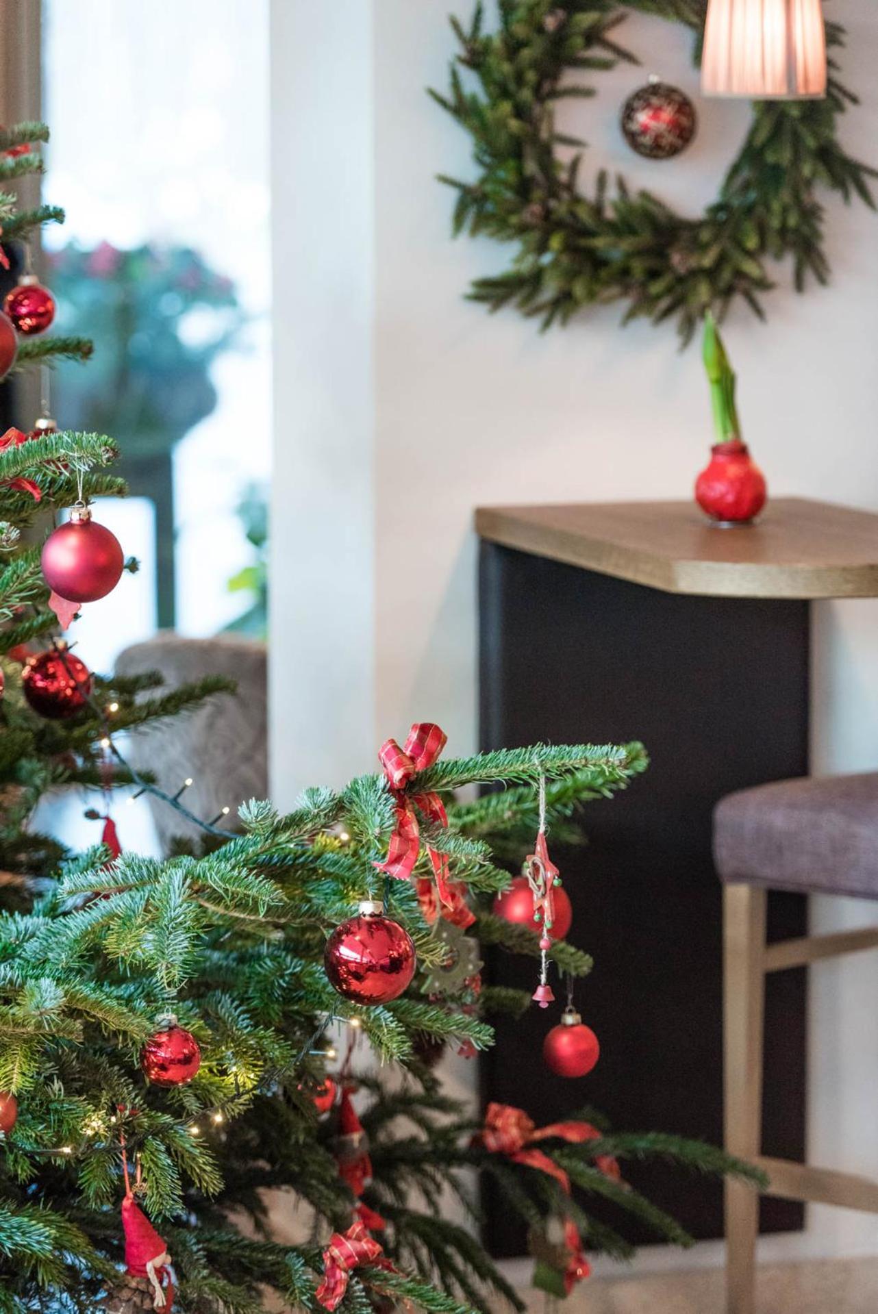 Hotel Mitterplatt Schenna Zewnętrze zdjęcie